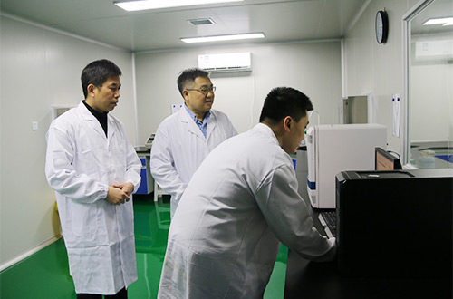白芍是什么——，千年草本瑰宝，你知其为何物？